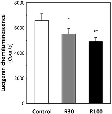 Regulation of NADPH Oxidase-Mediated Superoxide Production by Acetylation and Deacetylation